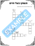67b86a8d342ac57cc6dbae29_1000241511_1753642724478.png