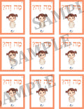 Teaching Hebrew with cards - Introducing objects (Group 13) - 4
