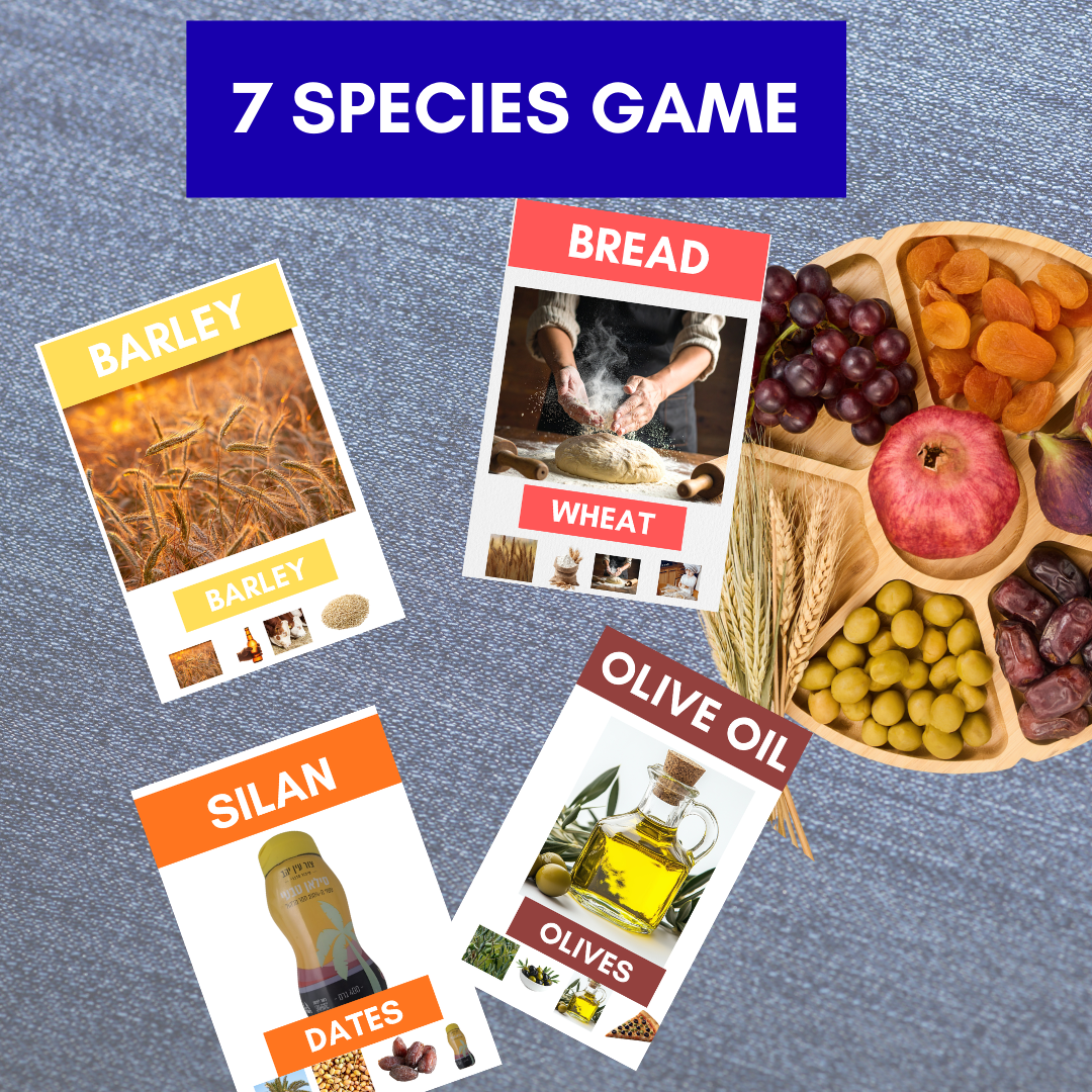 67b86a8d342ac57cc6dbae29_7-species-mock-up_1769544063007.png